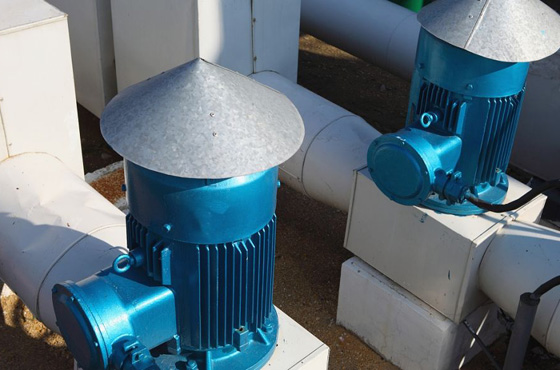 6155263bcd6f9.jpg 01.jpg